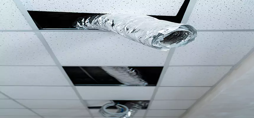 Our Air Duct Pet Hair Removal Services in Fayetteville, AR