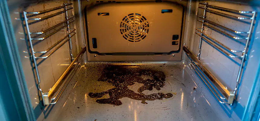 Our Dryer Vent Mold Cleaning Services in Fayetteville, AR