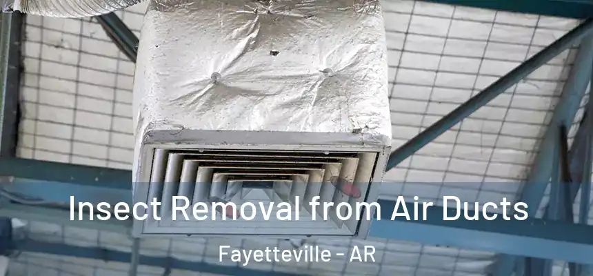 Insect Removal from Air Ducts Fayetteville - AR