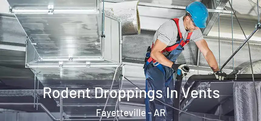  Rodent Droppings In Vents Fayetteville - AR