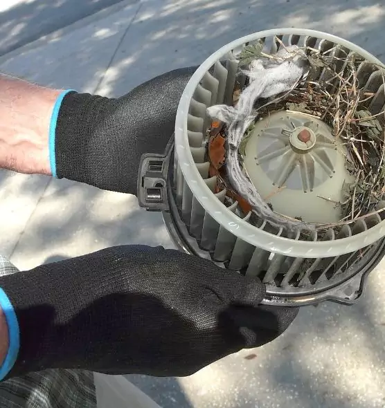 About Air Duct Mice Removal in Fayetteville, AR