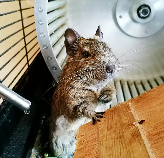 Why Homeowners & Businesses Trust Us Fayetteville, AR?